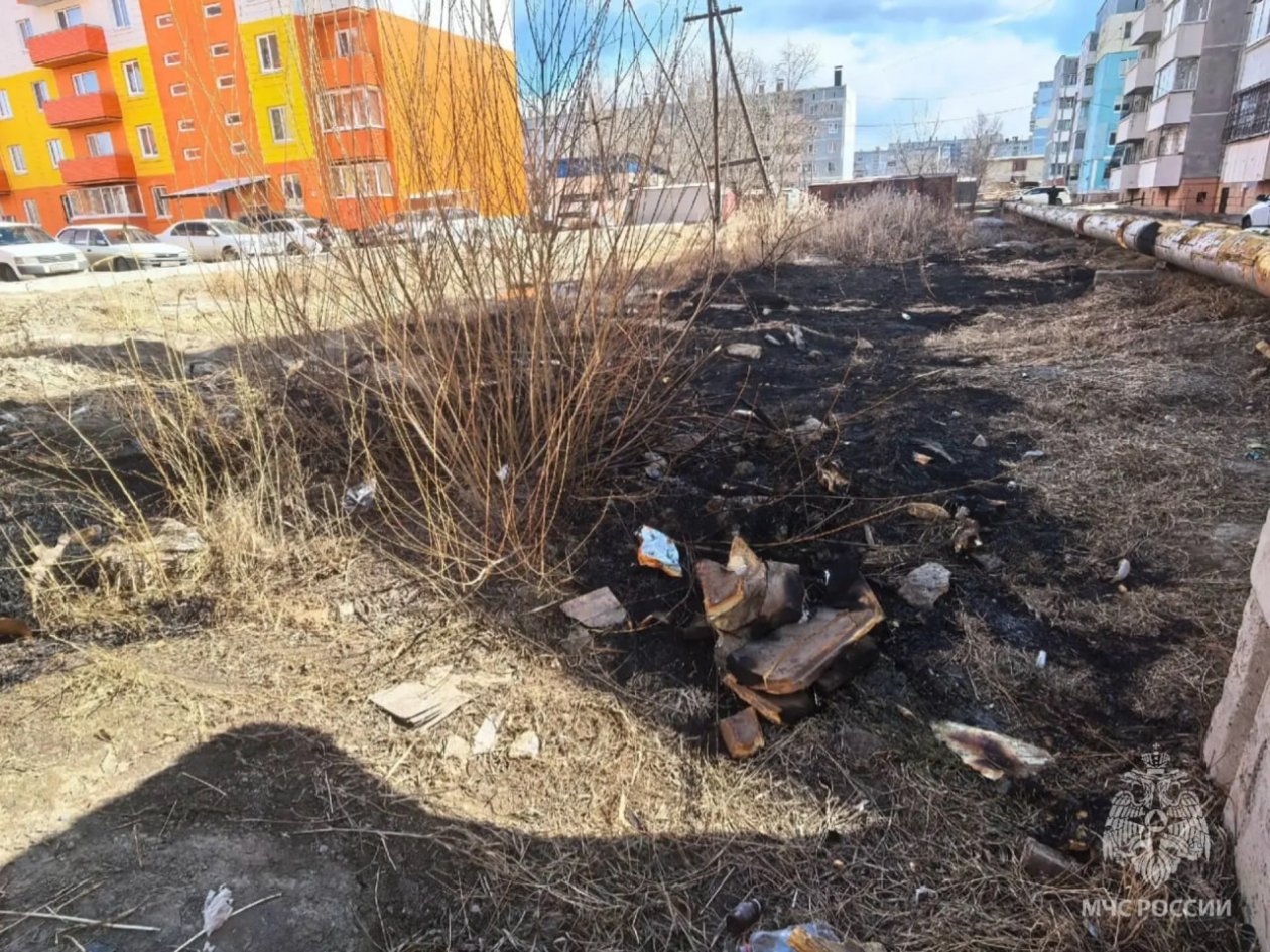 Сгоревшая трава ГУ МЧС по Забайкалью