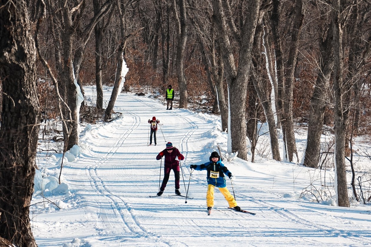 Тематическая иллюстрация ИА PrimaMedia.ru