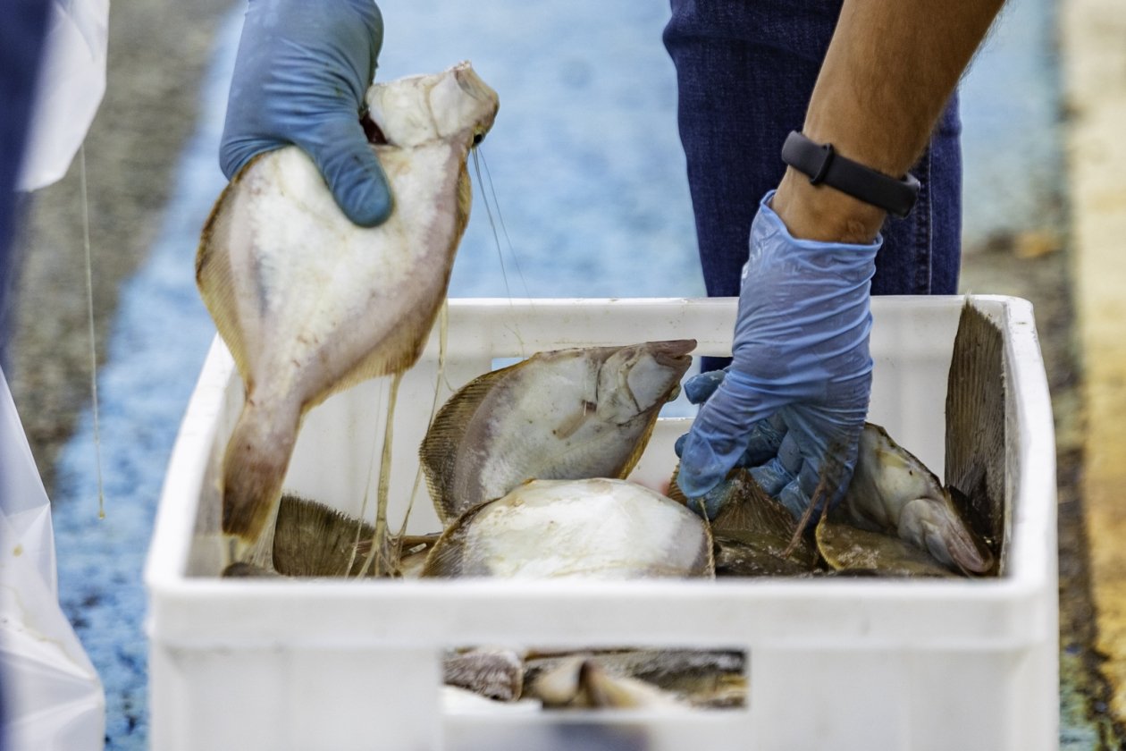 Рыбалка Дмитрий Осипчук, ИА PrimaMedia.ru