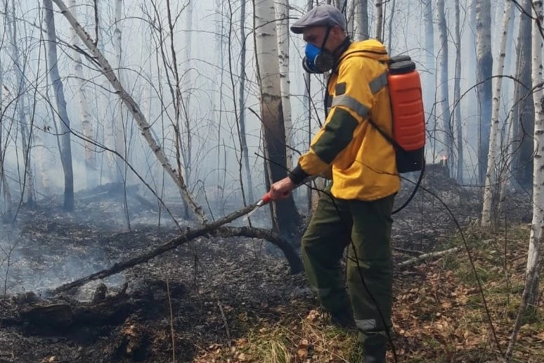 Минлес Иркутской области требует 15 млн рублей с виновников лесных пожаров Пресс-служба облправительства