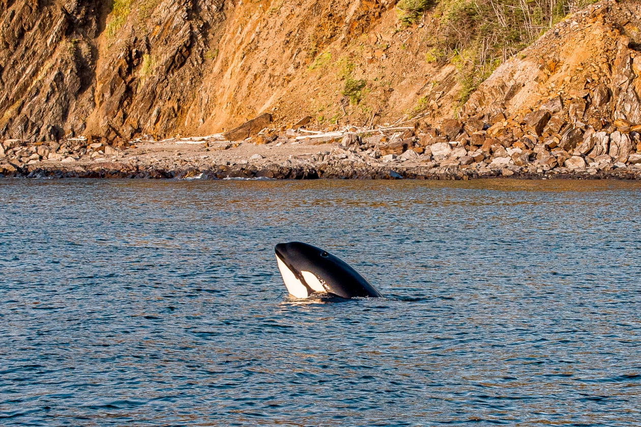 Гороскоп на 2 апреля: Важно не распыляться на множество дел Мария Смитюк, ИА PrimaMedia
