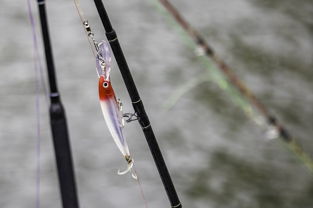 Рыбакам Ставрополья напомнили о продлении запрета на ловлю воблы и плотвы Дмитрий Осипчук, ИА PrimaMedia.ru