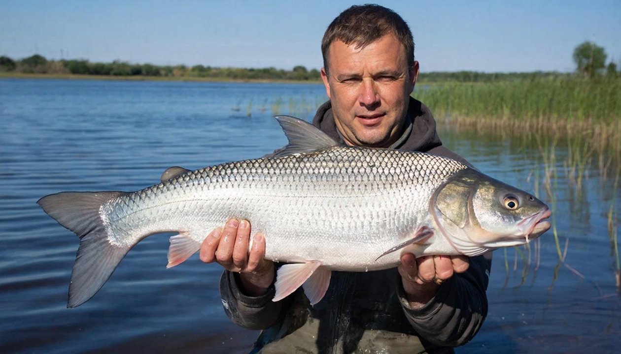 Где сейчас реально клюёт: рыбные места, о которых не говорят вслух Создано при помощи ИИ
