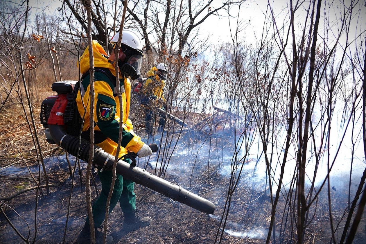 Более 6 тысяч га охватил огонь в Приморье за сутки пресс-служба Министерства лесного хозяйства, охраны окружающей среды, животного мира и природных ресурсов Приморья