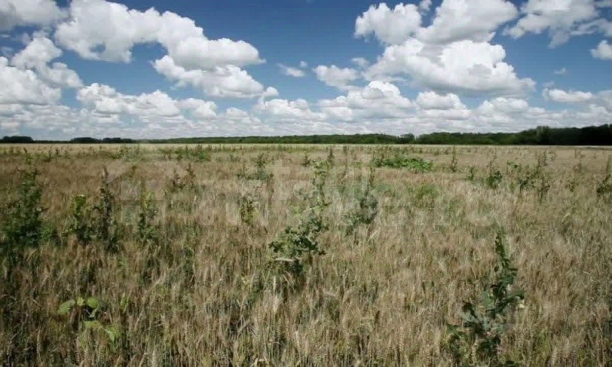 Тематическое фото Россельхознадзор