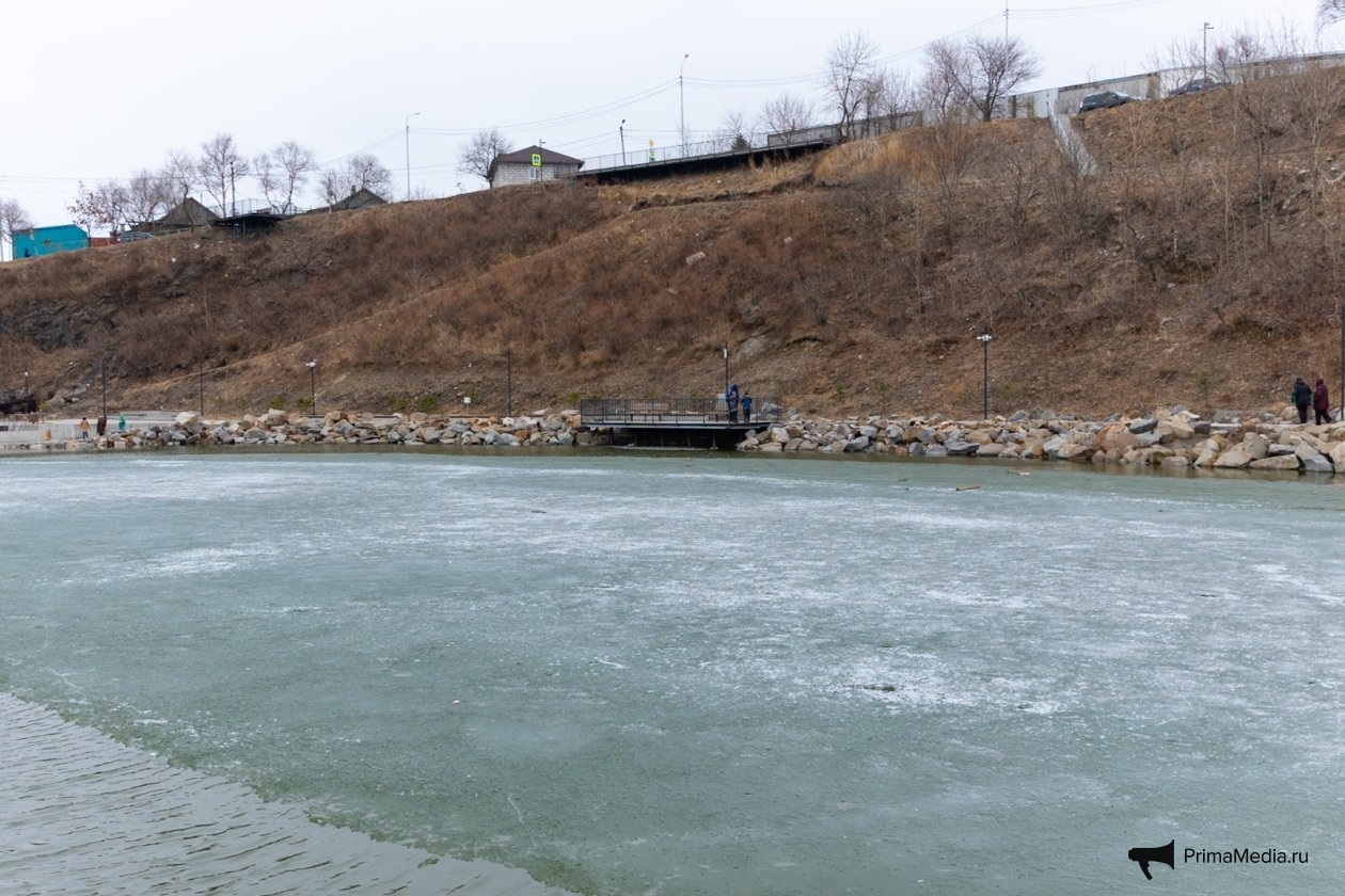 Яна Гайдук, ИА PrimaMedia