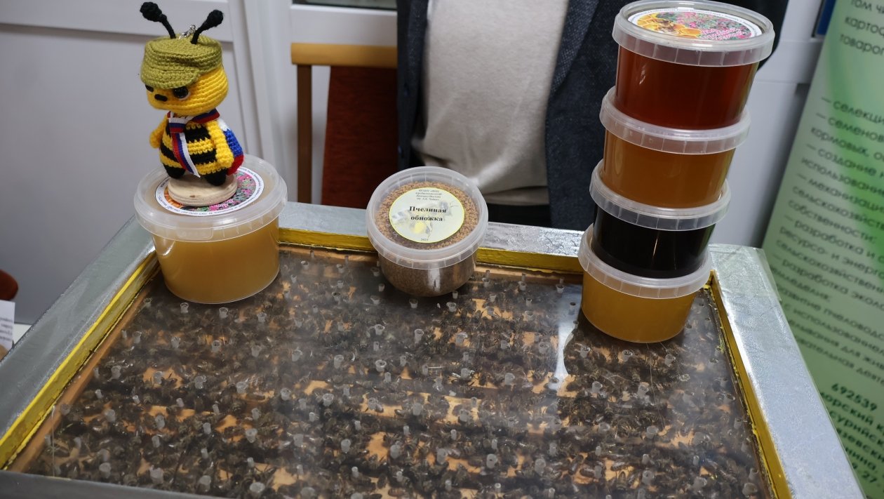 Евгения Клименко, ИА UssurMedia