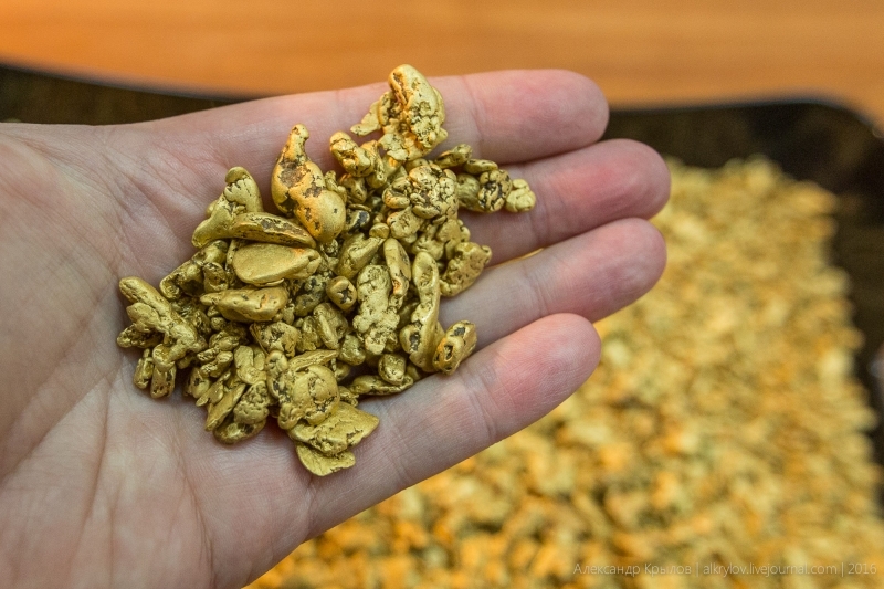 Директор компании в Якутии незаконно добыл золото и серебро на 90 млн рублей Александр Крылов, ИА MagadanМedia