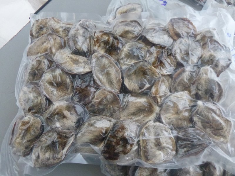 В Иркутске осудят вывезших мускус кабарги на 29 млн рублей контрабандистов Иркутская таможня