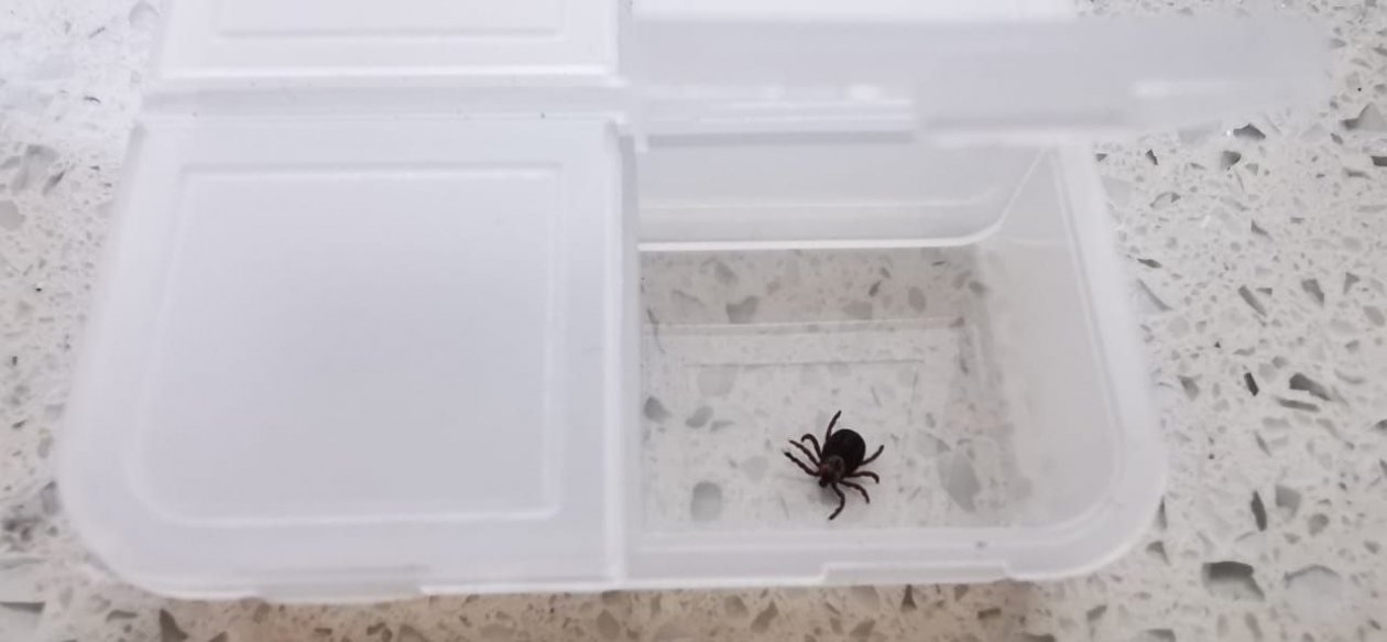 Тематическое фото ИА UssurMedia