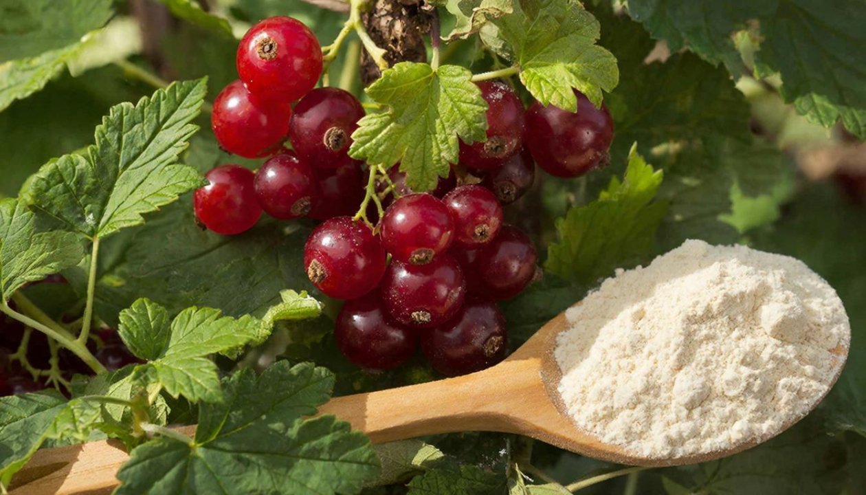  Создано при помощи ИИ