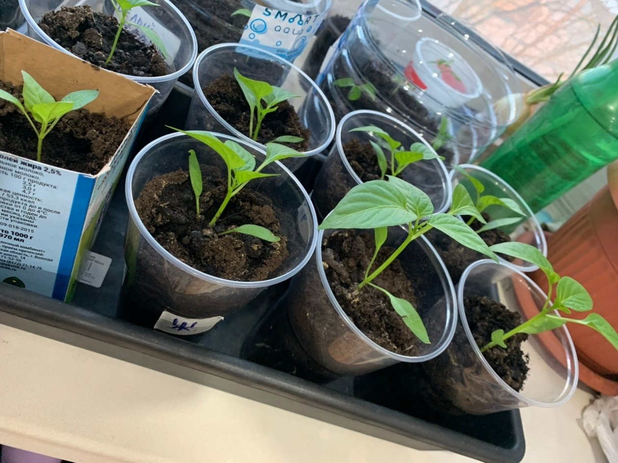 Тематическое фото Фото автора