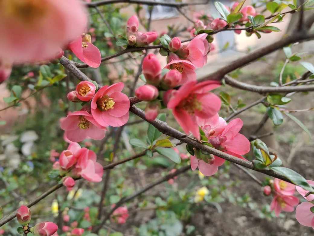 Цветение и пыльца &quotвыгоняют&quot жителей Кубани в горы и к морю Светлана Юдина