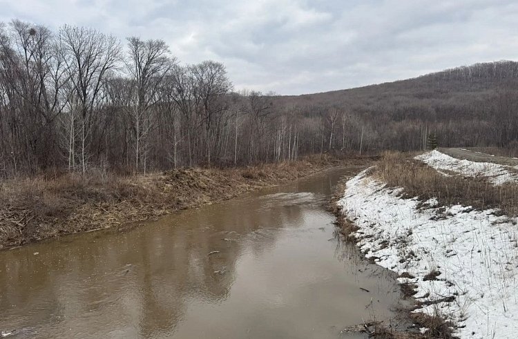 Несколько сел в Приморье получат защиту от паводков в этом году Пресс-служба правительства Приморского края