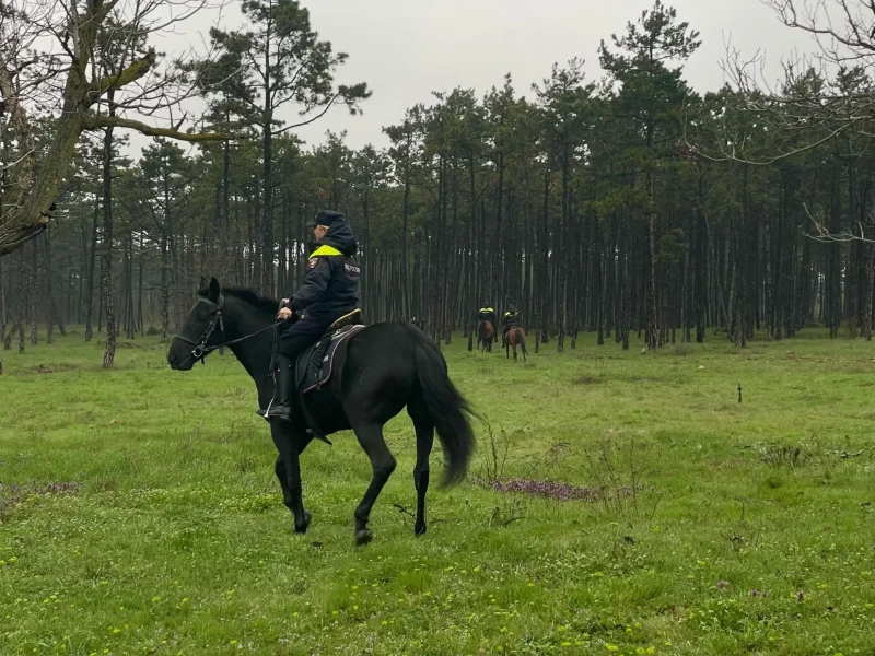 Тематическое фото Правительство Севастополя