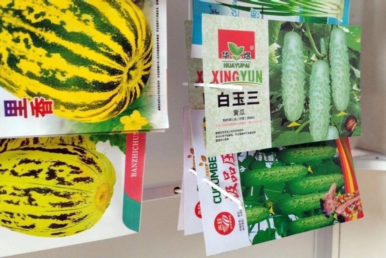 Семена Россельхознадзор Забайкалья