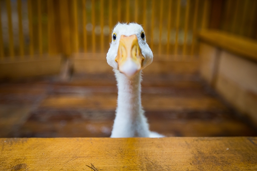 Тематическое фото ИА PrimaMedia