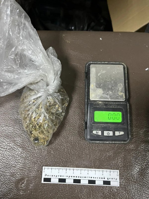 В Якутске задержали мужчину за выращивание наркотиков в гараже пресс-служба МВД по Якутии