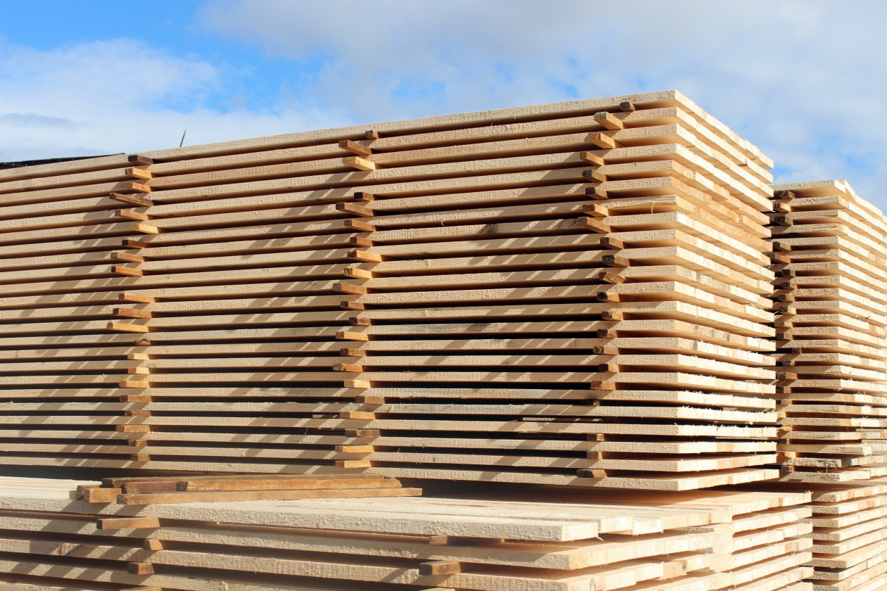 Таможенный пост. Доски Наталия Раткевич, ИА IrkutskMedia