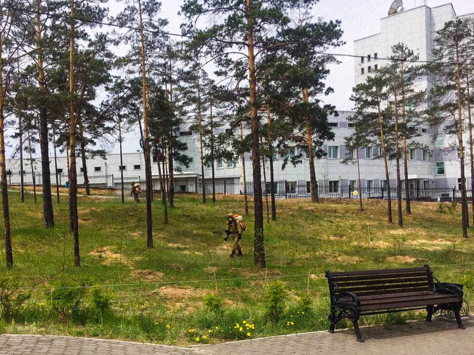 В Улан-Удэ обработка от клещей начнётся с 6 апреля администрация г. Улан-Удэ