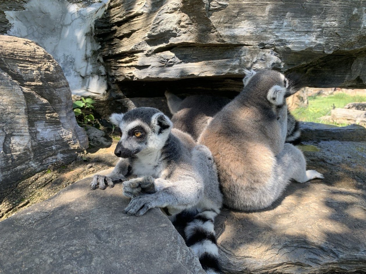 Марина Голикова, ИА UssurMedia