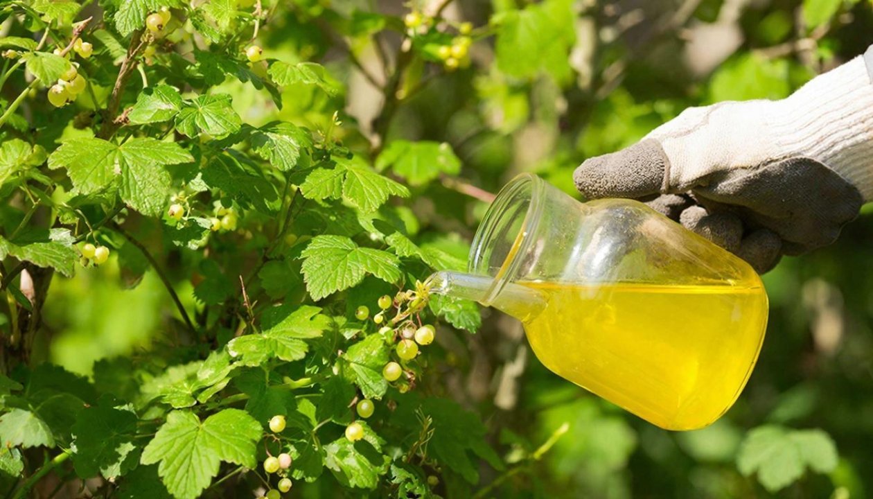 Тематическое фото Создана при помощи ИИ
