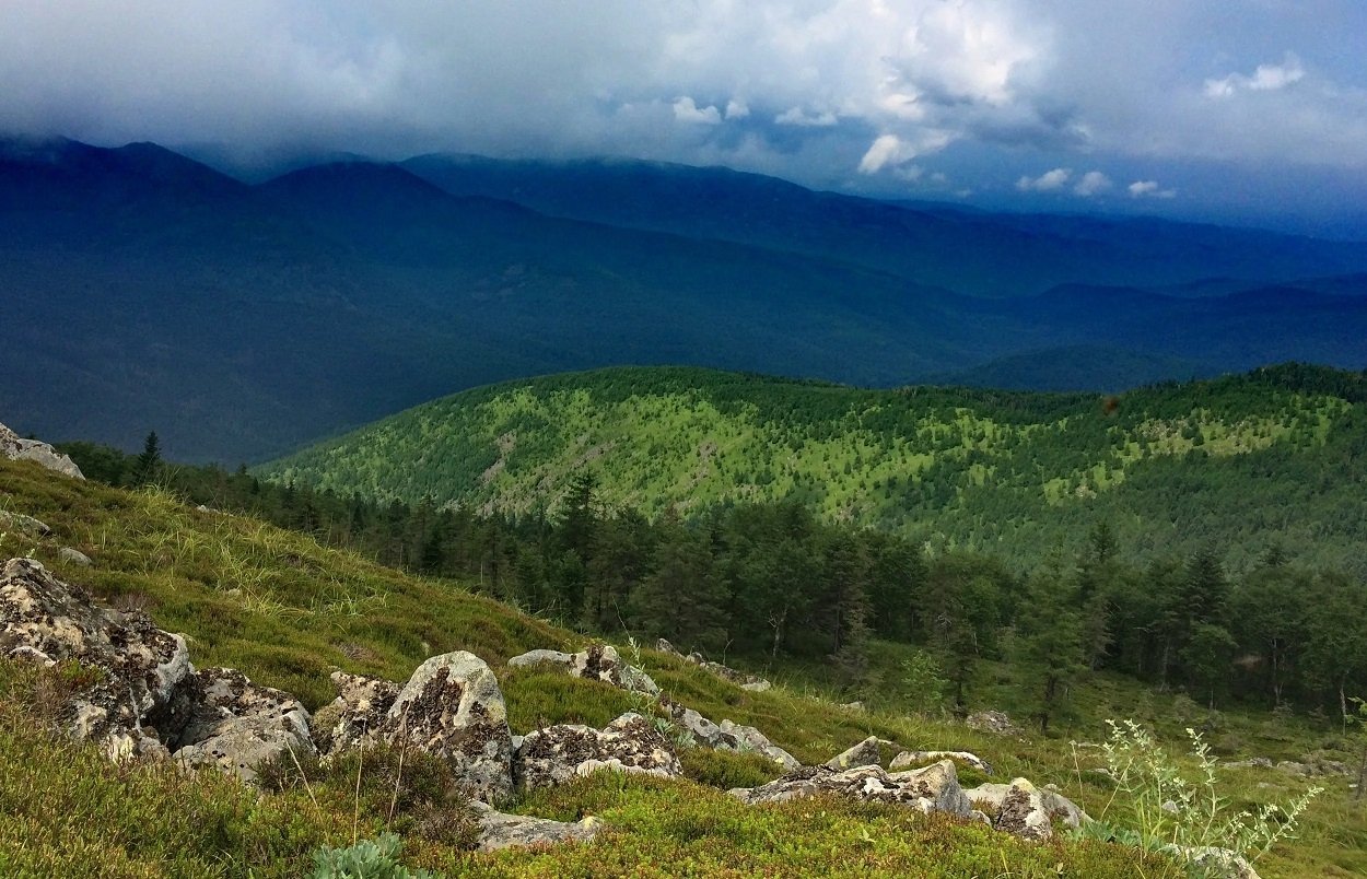 Заповедник &quotБастак&quot (ЕАО) сайт ФГБУ &quotГосударственный заповедник &quotБастак&quot