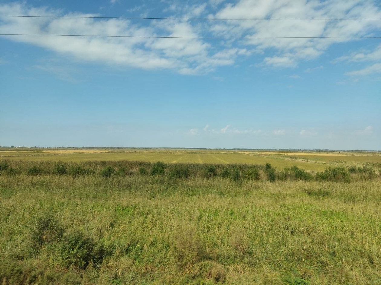 Поле Петр Максимов