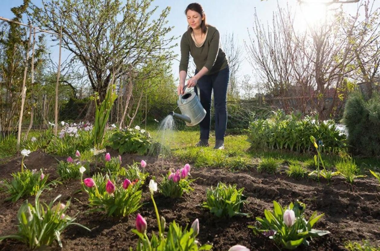 Тематическая иллюстрация Создано при помощи ИИ