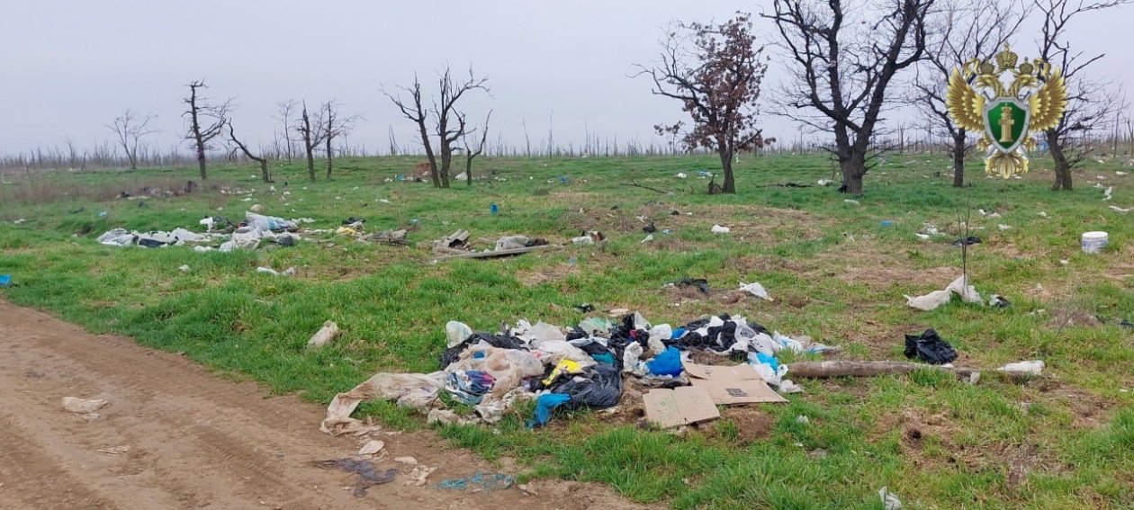 Природоохранная прокуратура будет судиться из-за огромной свалки в Будённовске Пресс-служба прокуратуры Ставрополья