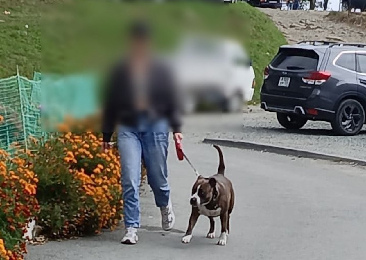 Тематическое фото Tg-канал &quotnovikovstalker&quot (18+)