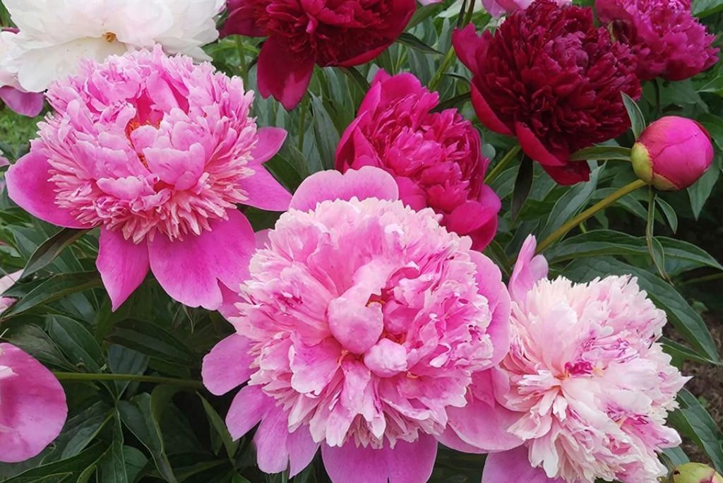 Тематическое фото сгенерировано при помощи ИИ