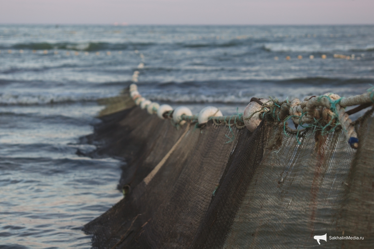 Тематическое фото Владислав Беляцкий, ИА SakhalinMedia