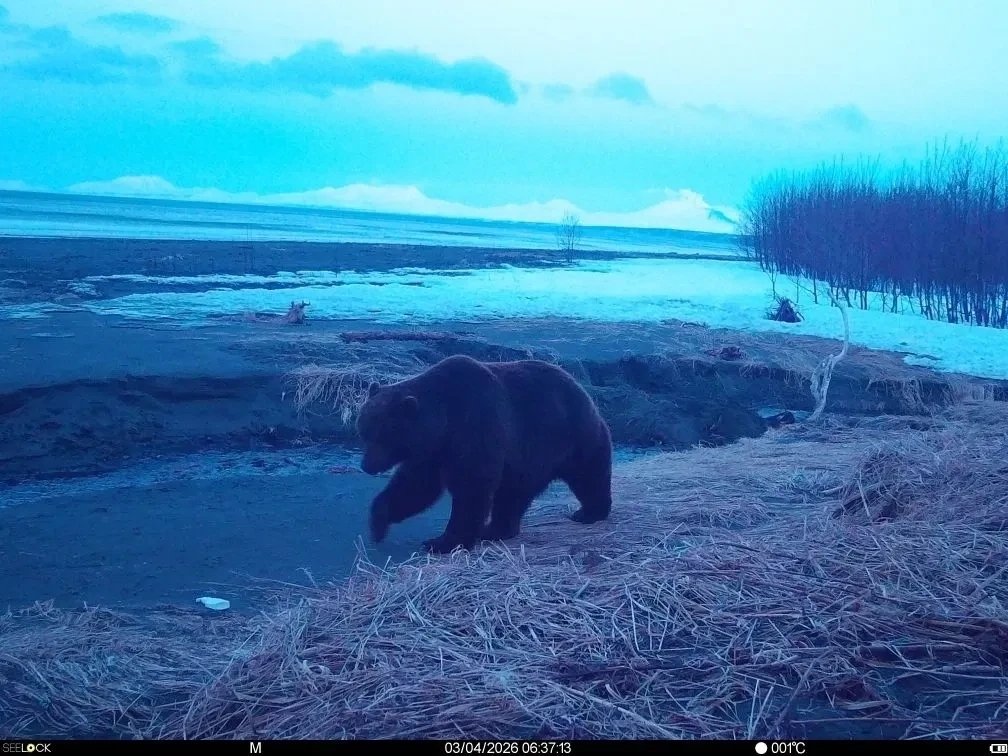Фото с места событий Дмитрий Балакирев