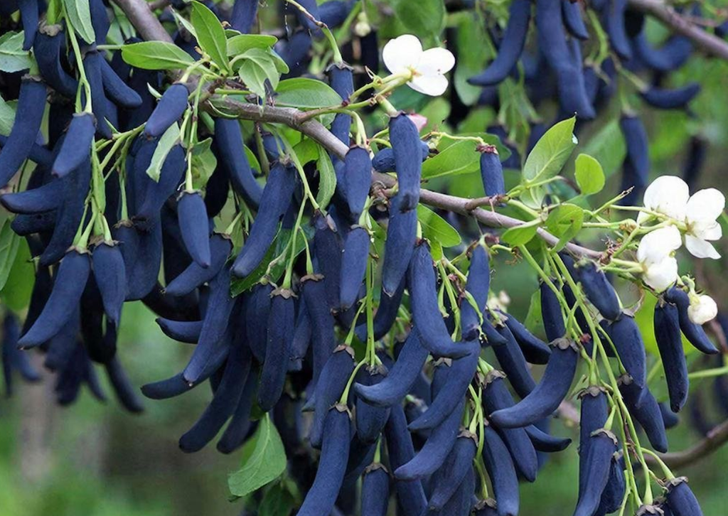 Тематическое фото Создано при помощи ИИ