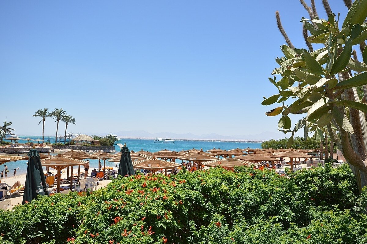 Hassan Gaafar, wikipedia.org