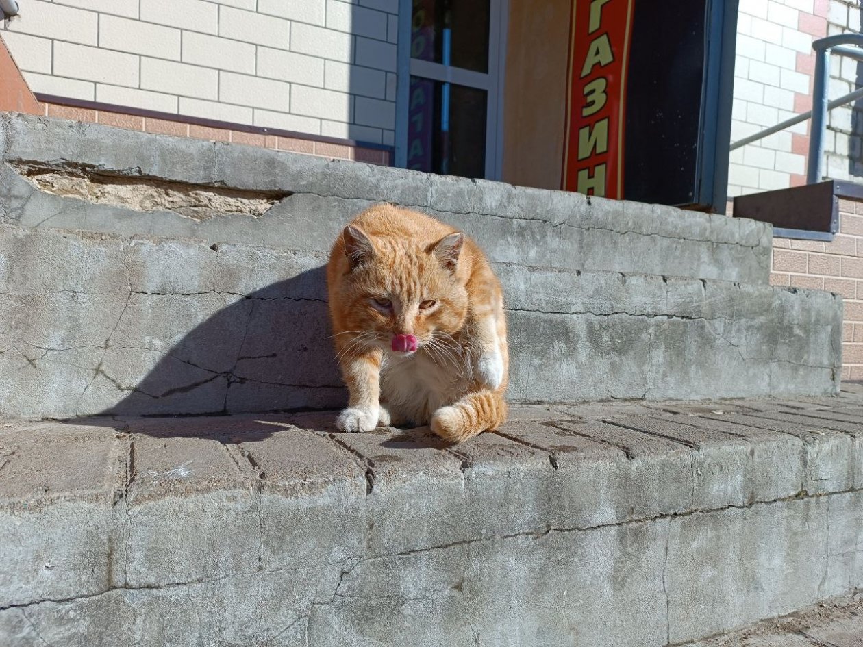 Тематическое фото ИА ЕАОMedia