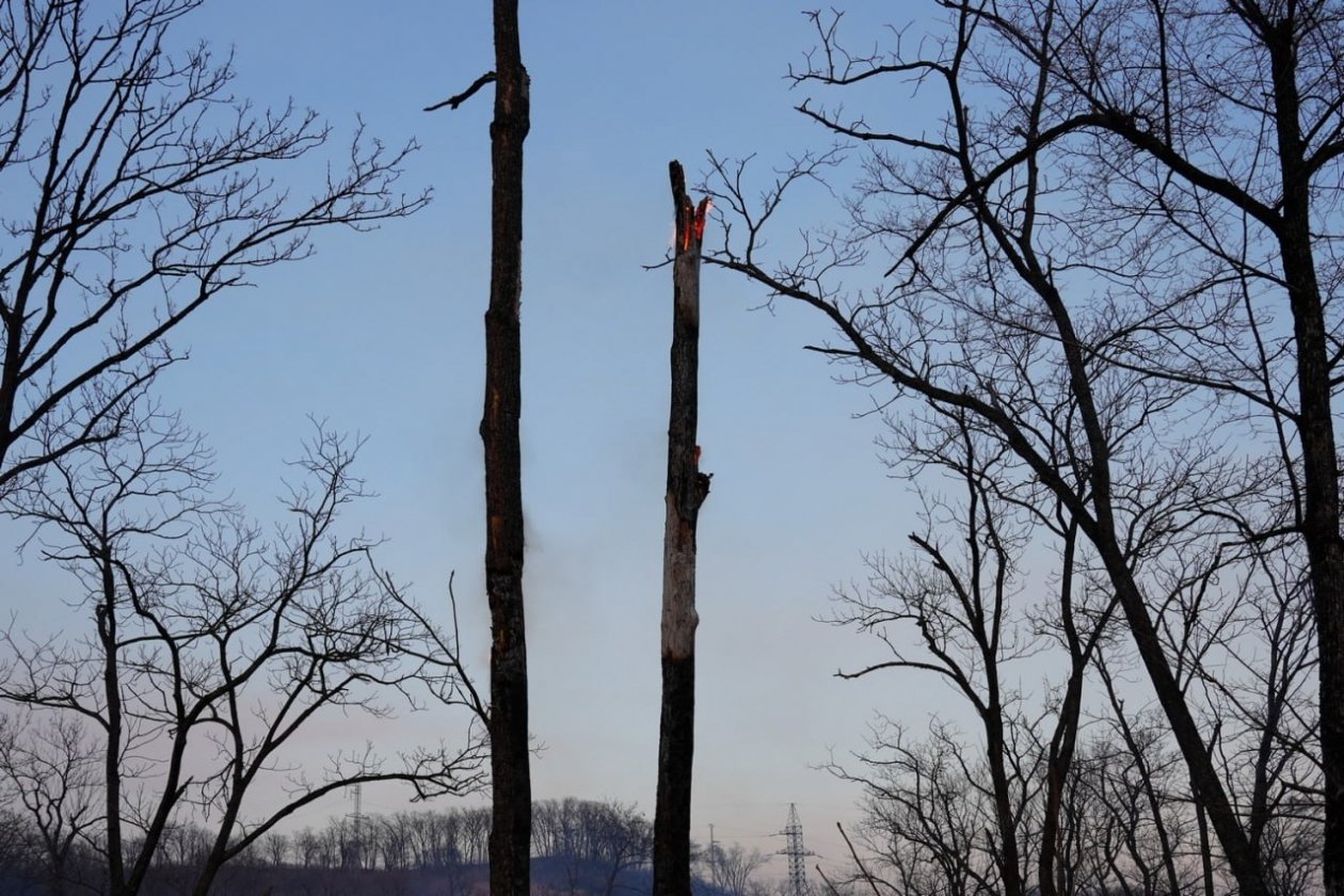 4 апреля зафиксированы пять пожаров Минприроды Приморья в MAX (6+)