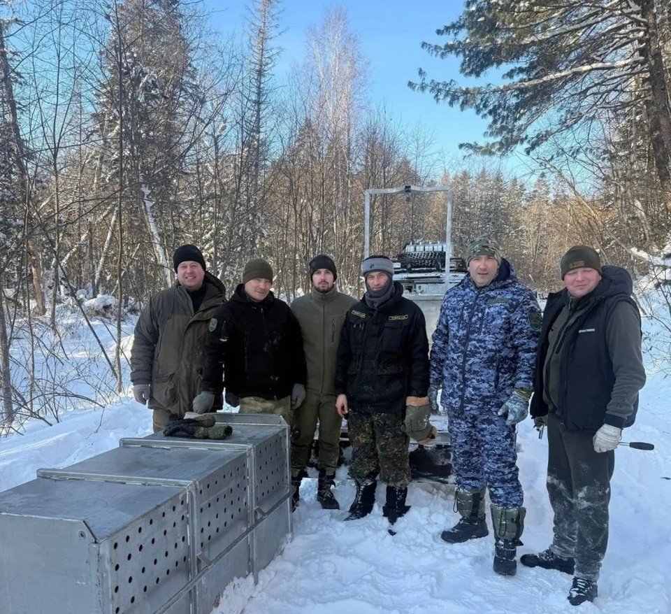 Тематическое фото ФОТО: Пресс-служба управления охотничьего хозяйства Правительства Хабаровского края