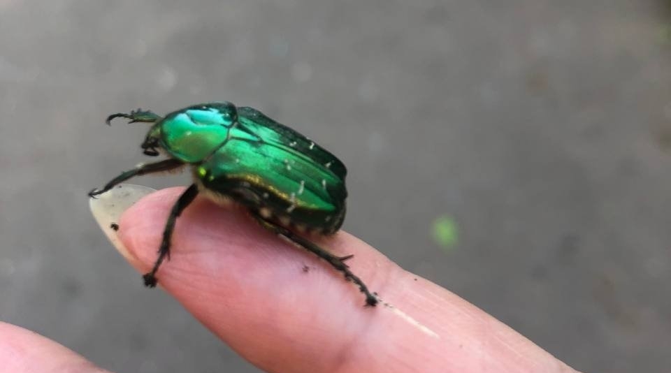 Тематическое фото Артем Дубенчук