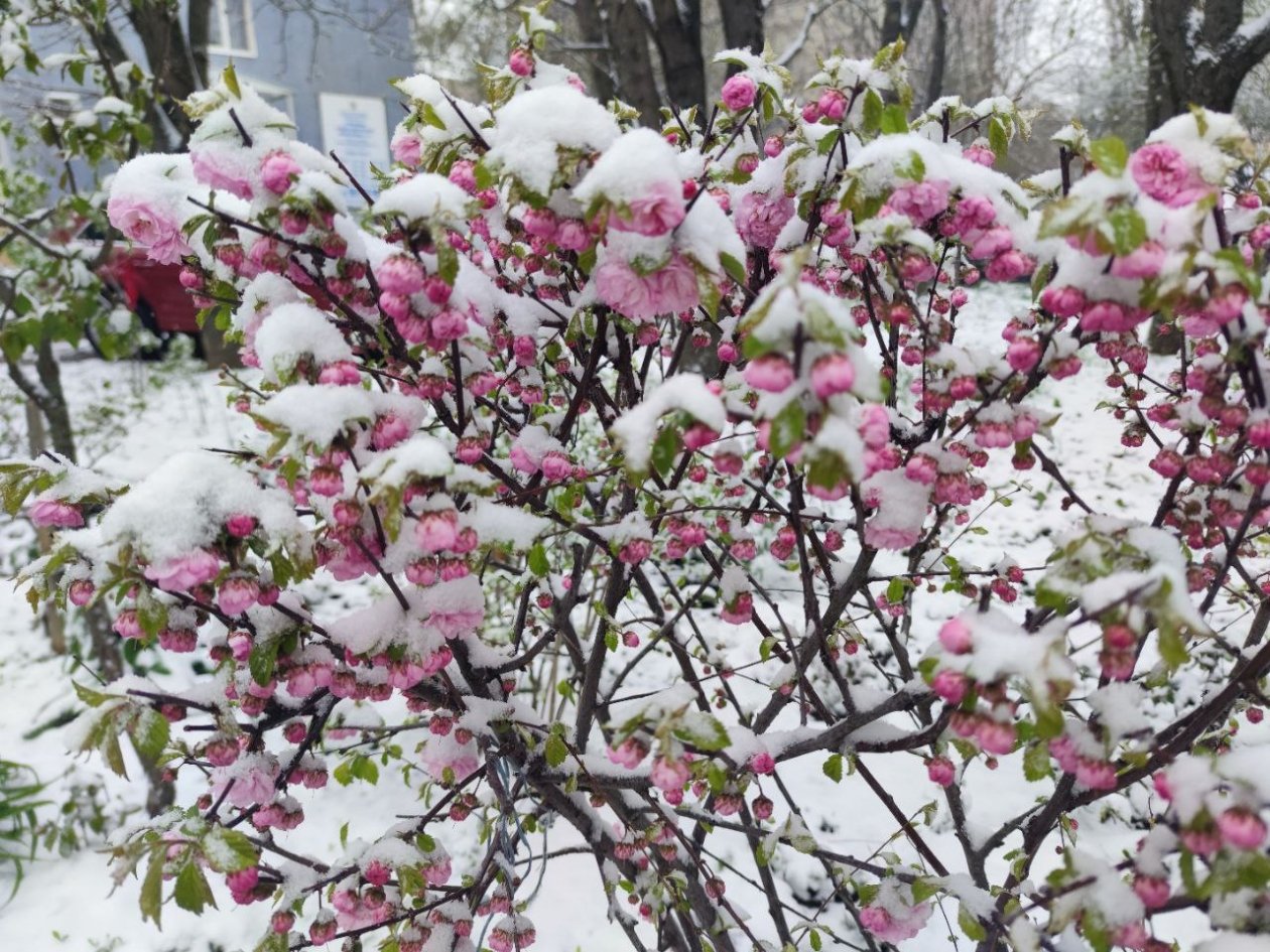 Гороскоп на неделю: Энергия будет переливаться через край Артём Хорошилов  , ИА Stavropol.Media