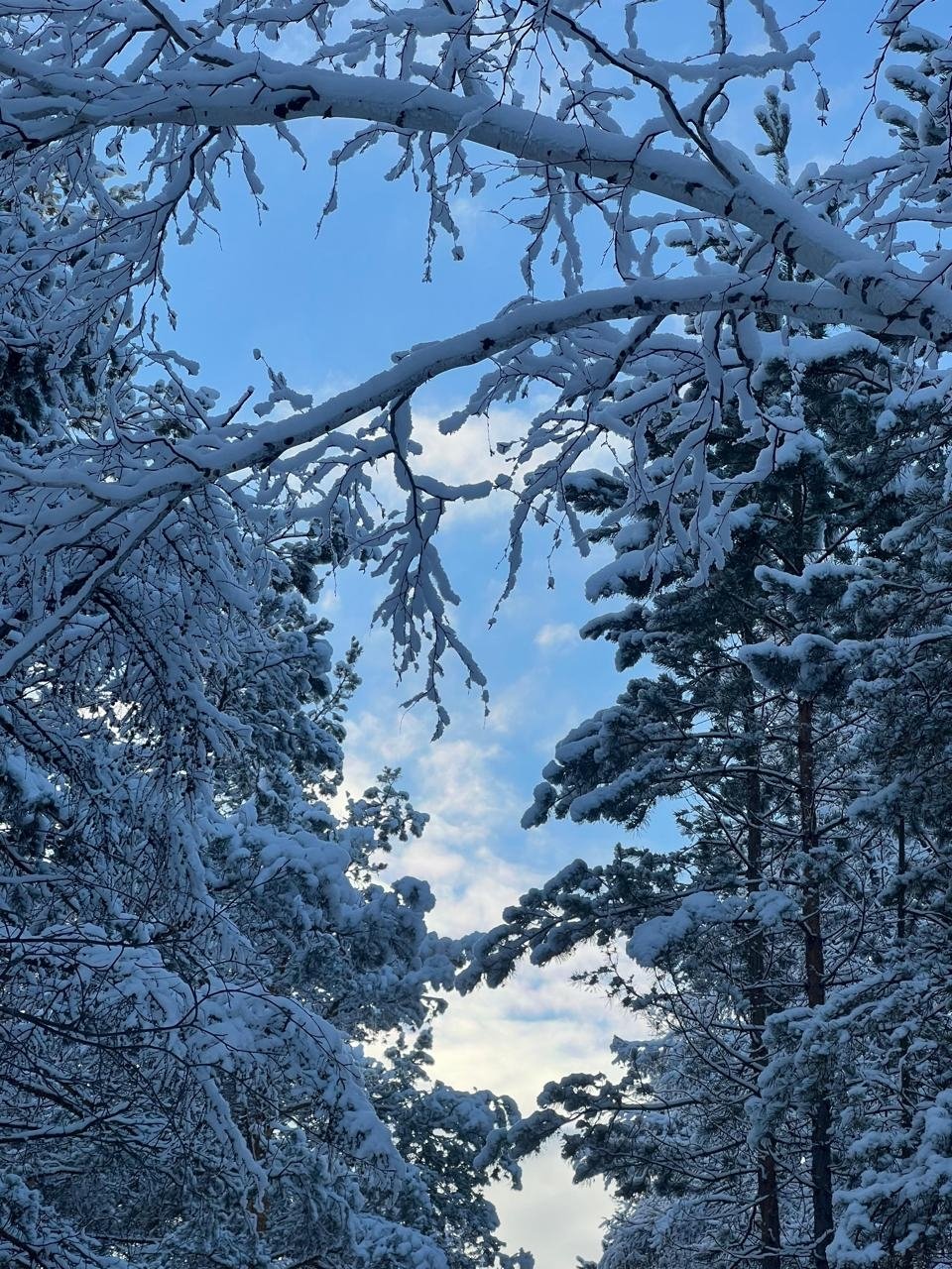 Гороскоп на 6 апреля:Близнецы осторожны с финансами,Козерог внимателен к мелочам ИА YakutiaMedia