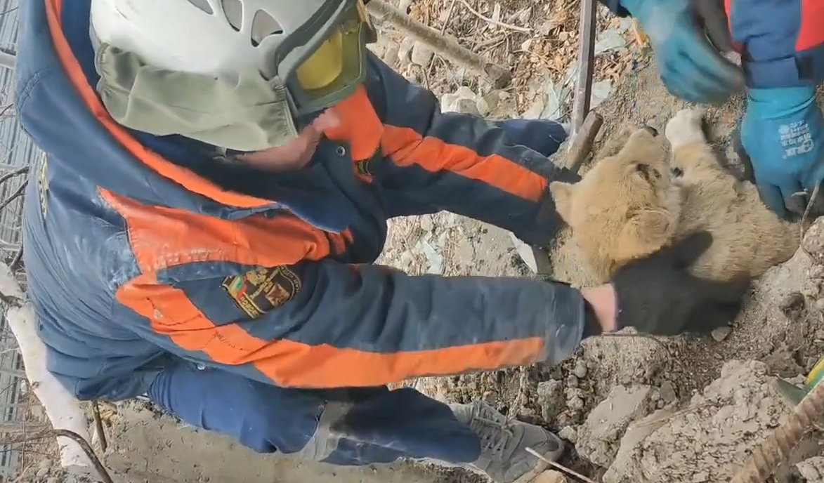 Спасение щенка Кадр из видео