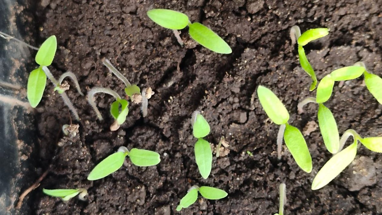 Тематическое фото ИА StavropolMedia