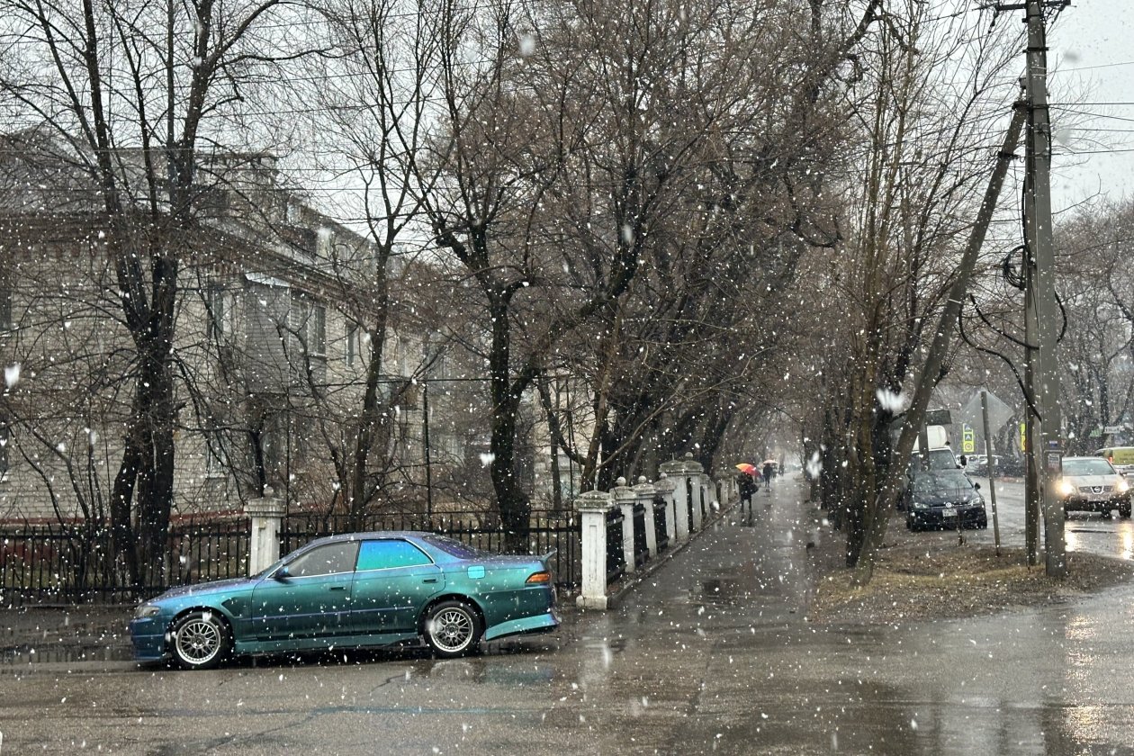 Мокрый снег утром 6 апреля в Уссурийске Александр Шепырев, ИА UssurMedia