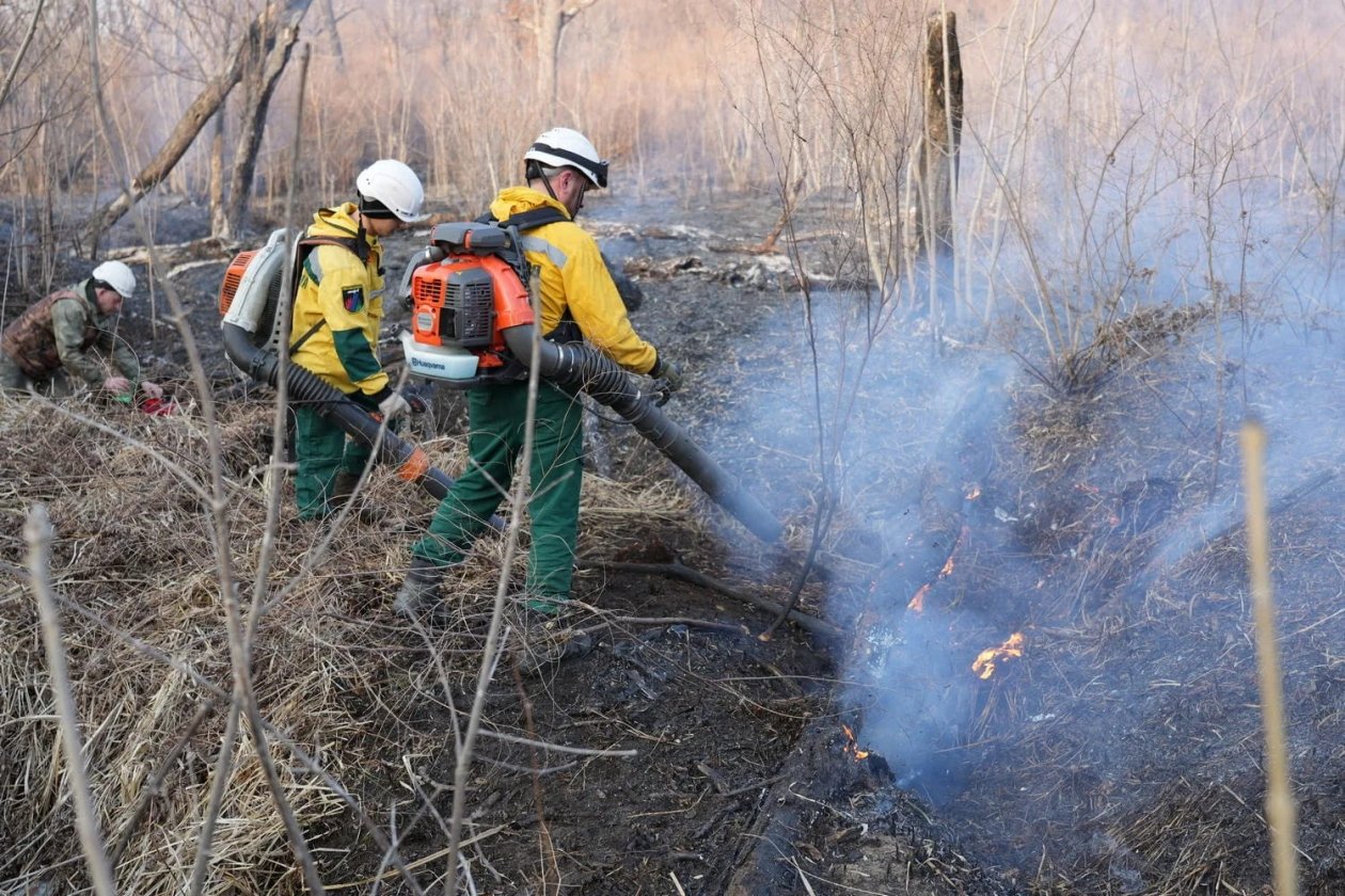 6 пожаров действовали в Приморье 5 апреля КГБУ &quotПриморская авиабаза&quot