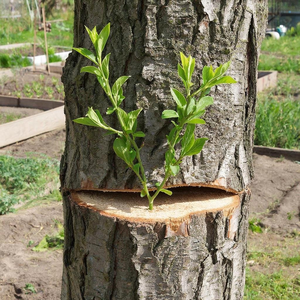 Тематическое изображение изображение сгененировано при помощи ИИ