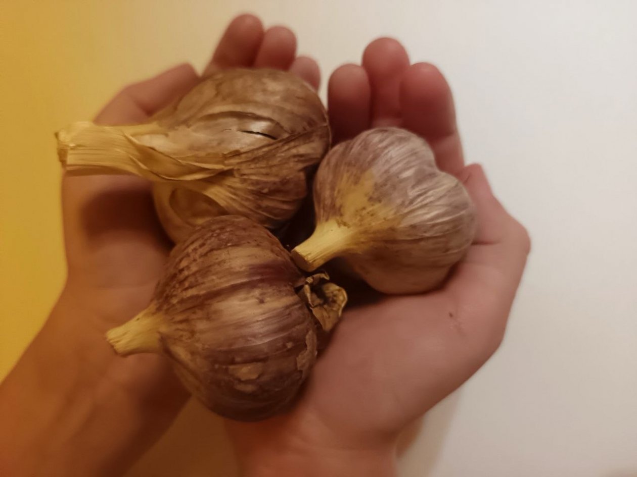 Всего 3 подкормки весной - и чеснок размером с ладонь: даем сразу после схода снега ИА KrasnodarMedia