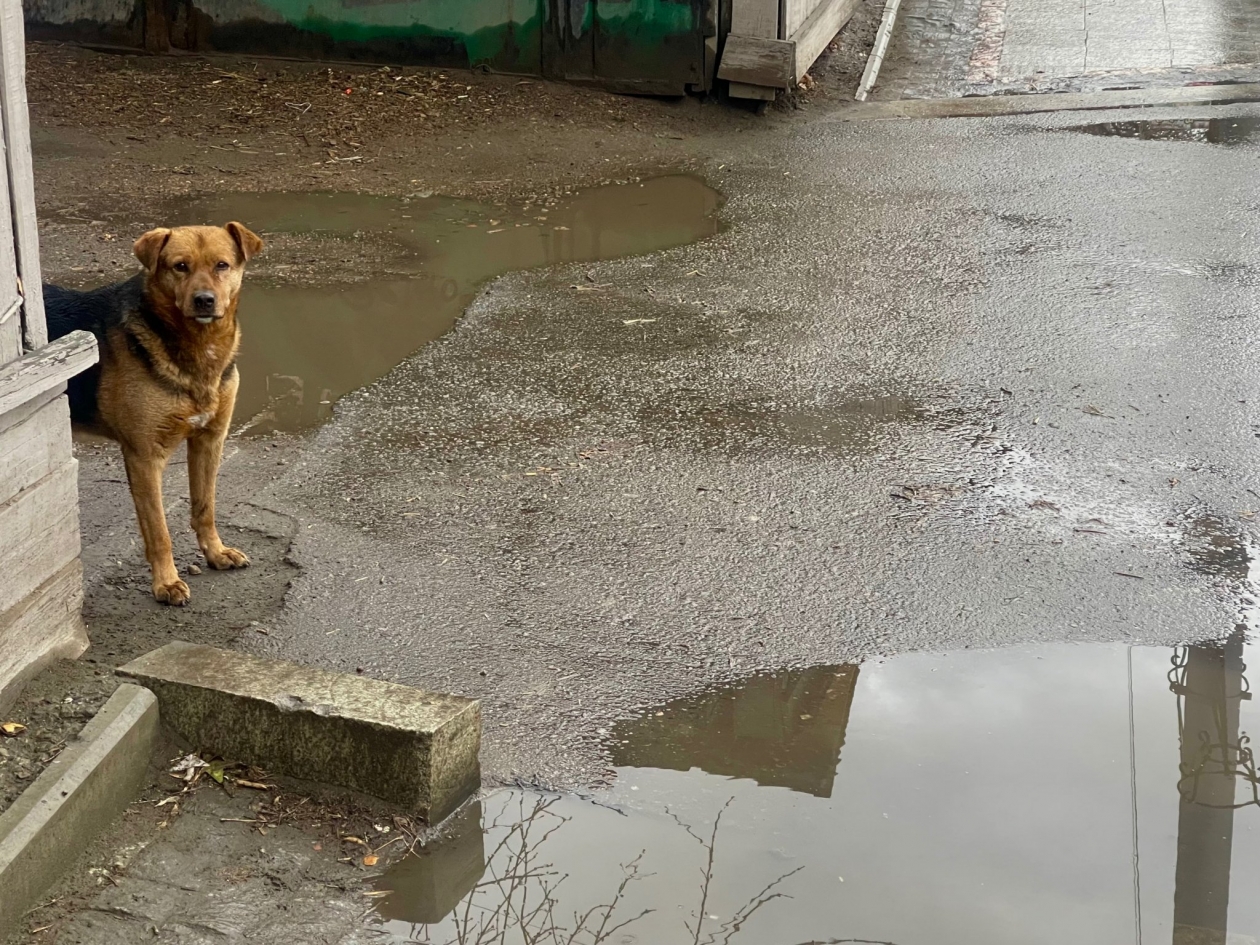 Дождь в Иркутске  в апреле Юлия Ушакова
