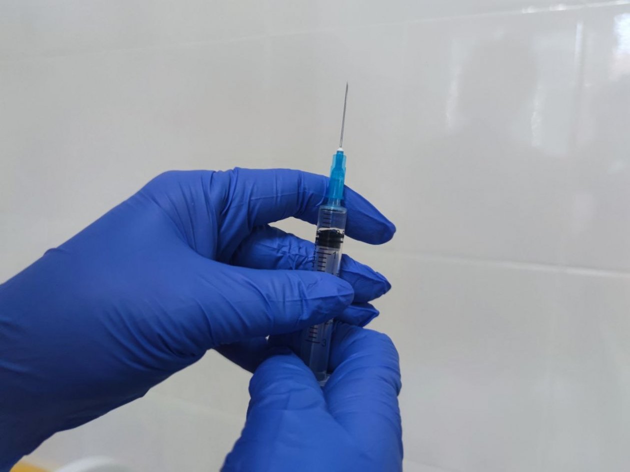 В Якутии продолжится превентивная вакцинация животных от пастереллеза Елена Гиневская, ИА Stavropol.Media